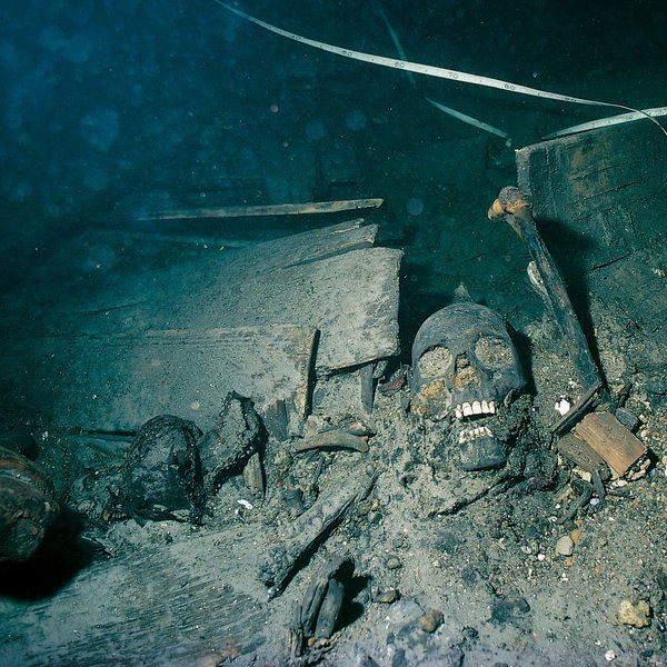 Apple, MacBook, OS X, MacBook Pro, ноутбук, Морские археологи подняли 340-летний сыр с места гибели военного корабля «Крунан»